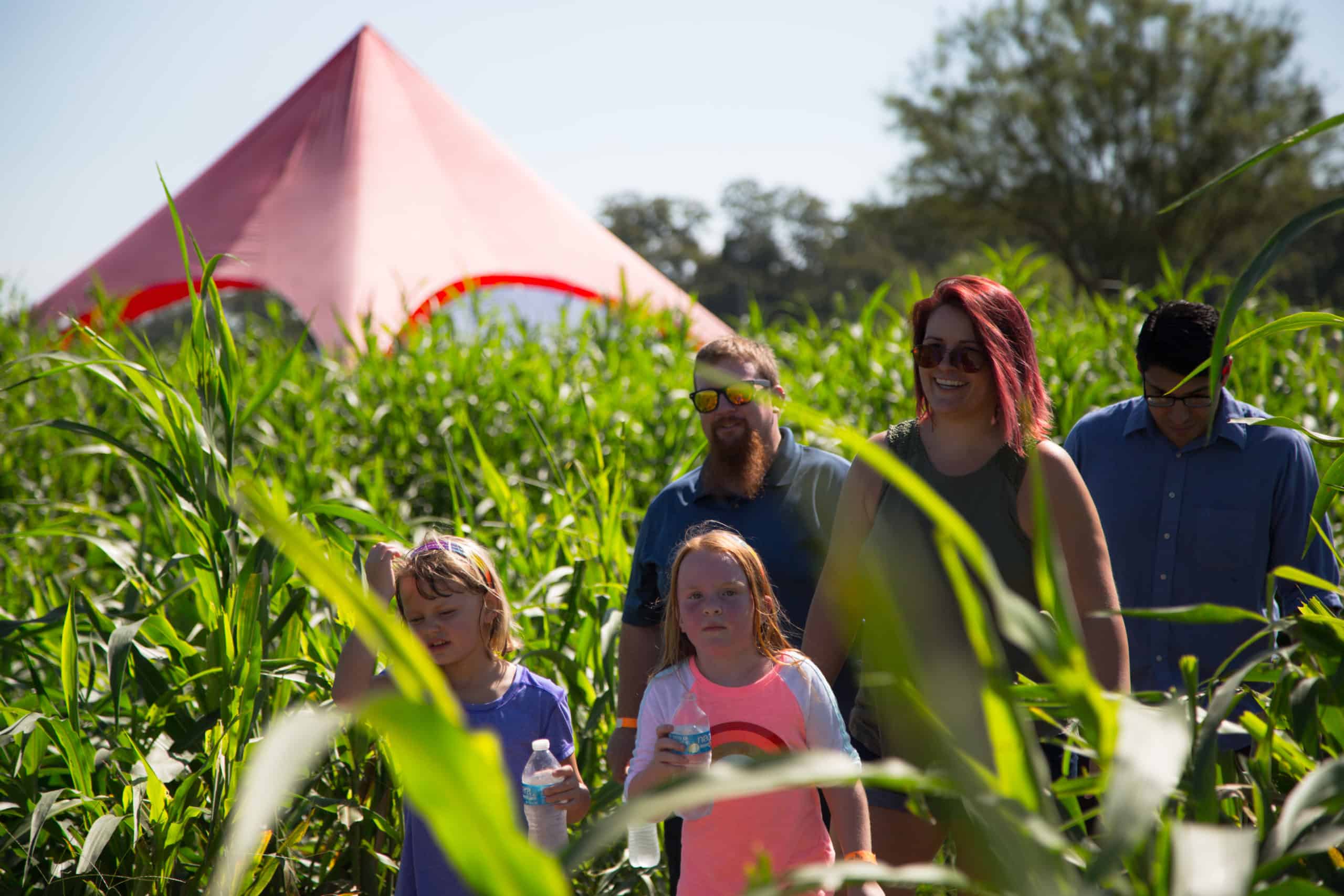 2020 Barton Hill Farms Corn Maze Revealed! | Barton Hill Farms 