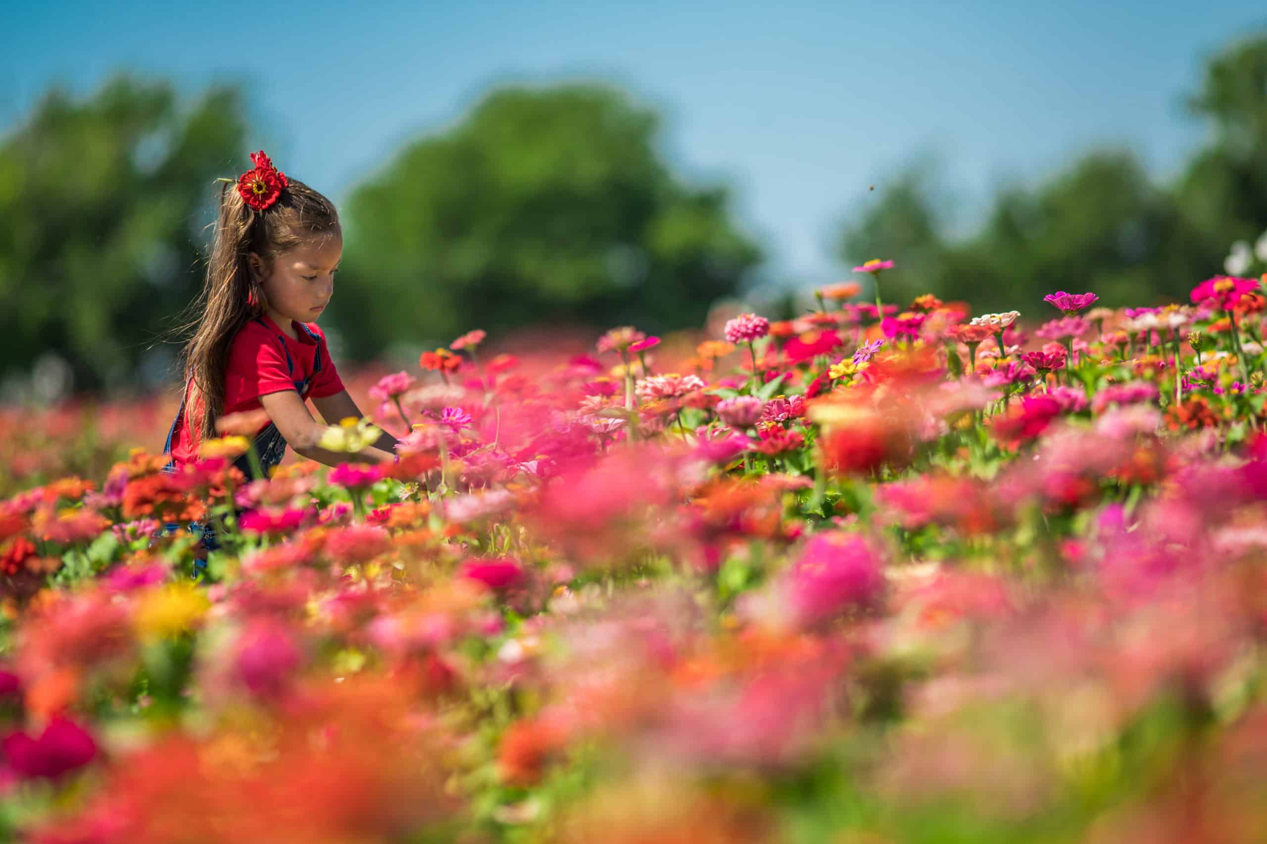 Austin Spring Festival