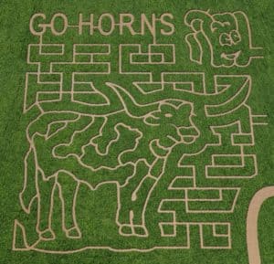 Go Horns Maze