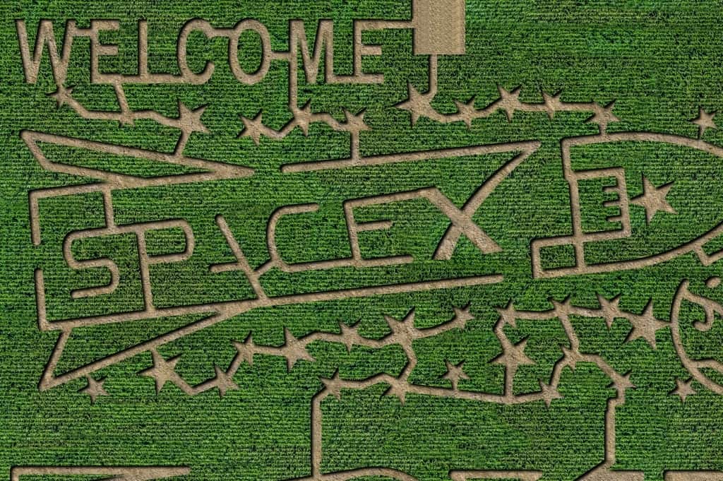Corn Maze at Barton Hill Farms