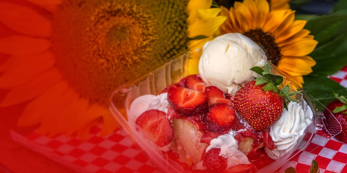 Enjoy some farm fresh strawberries on top of your ice cream sundae at Barton Hill Farms in Bastrop, TX